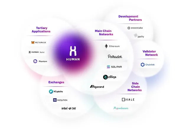 Các giao thức partner cùng với Human Protocol (HMT)