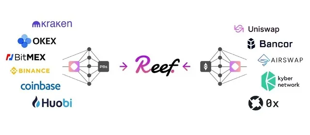 Đặc điểm nổi bật của Reef Finance trên thị trường hiện nay