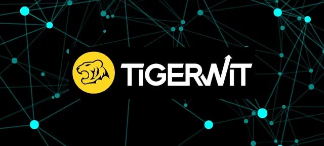 Giới thiệu tổng quan về sàn Tiger wit