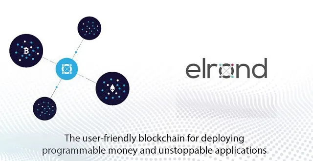 Số liệu thống kê chính dành cho testnet hiện tại