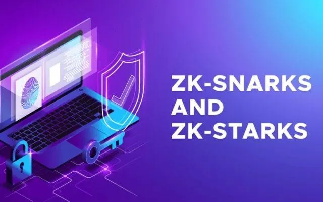 Verifiers là người xác minh và chỉ cần tải vài trăm byte zk-SNARKs chỉ mất rất ít thời gian