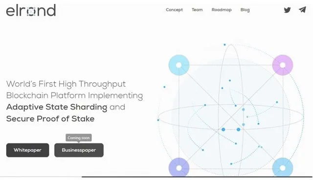 Website chính thức của Elrond cung cấp những thông tin chính thống về dự án