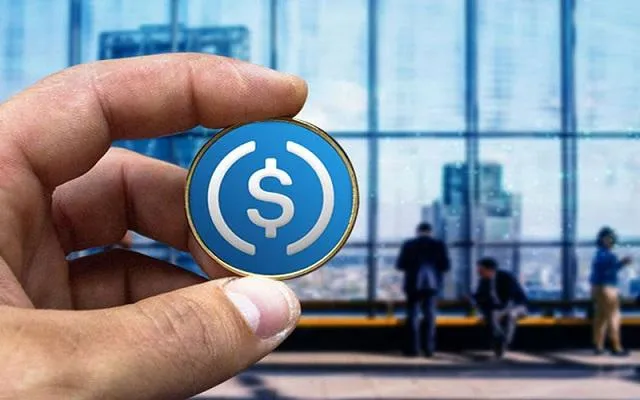 Chọn Stable Coin nào để đầu tư là quyền của mỗi người