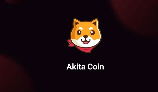 Có nên đầu tư AKITA coin hay không?