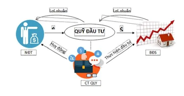 Nên chọn các quỹ tiềm năng giúp thu được lợi nhuận cao