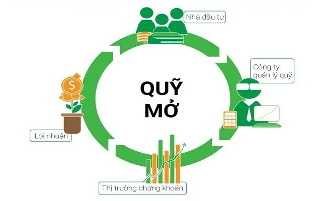 Quỹ mở là một trong những loại quỹ được nhiều nhà đầu tư lựa chọn