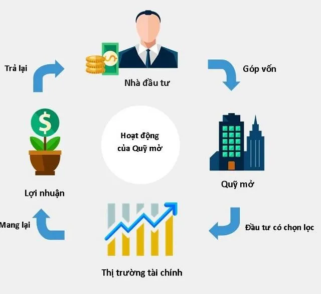Quy trình hoạt của quỹ đầu tư